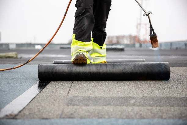 Best Roof Maintenance and Cleaning  in Jamestown, NY